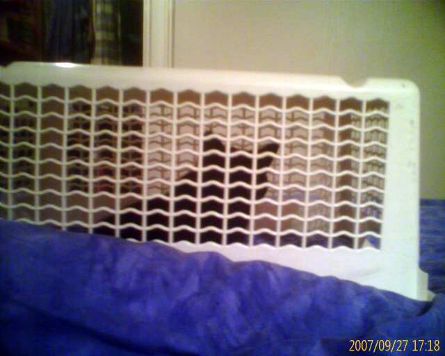 2007-09-27 Allo la tasse_l.jpg